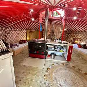 Tente de luxe Ravissant Yourte Traditionnelle